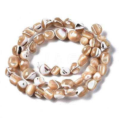 Natural Trochid Shell/Trochus Shell Beads Strands SSHEL-S266-015B-1