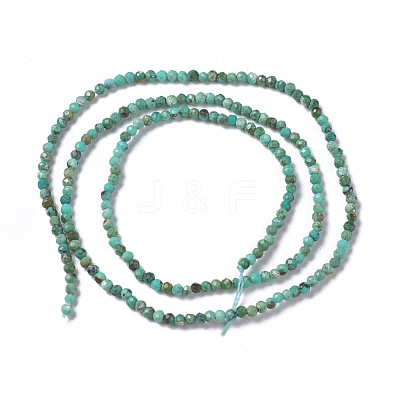 Natural Howlite Beads Strands X-G-F596-09-2mm-1