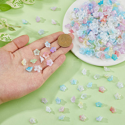 Acrylic Bead Caps OACR-DC0001-29A-1
