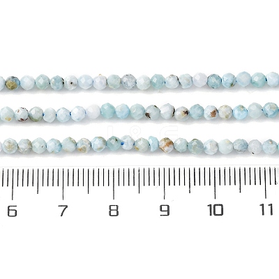 Natural Larimar Beads Strands G-F785-B01-01-1