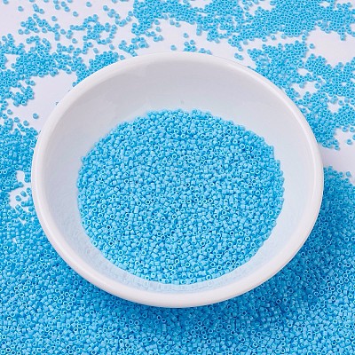 MIYUKI Delica Beads Small X-SEED-J020-DBS0879-1