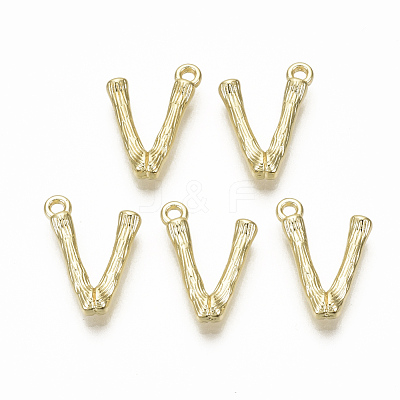 Alloy Pendants PALLOY-S137-001V-NR-1