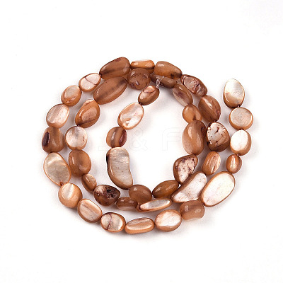 Natural White Shell Beads Strands SHEL-N036-21E-1