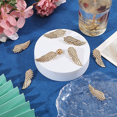 12 Pairs Wing Alloy Brooches JEWB-CA0001-82-1