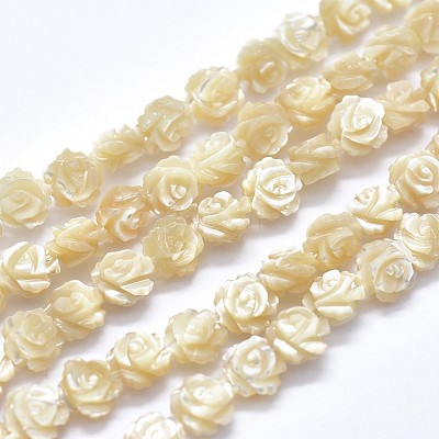 Shell Bead Strands SSHEL-P015-01B-8mm-1