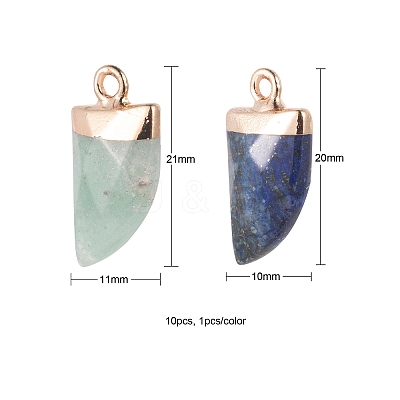 10Pcs 10 Style Natural Gemstone Pendants G-LS0002-14-1