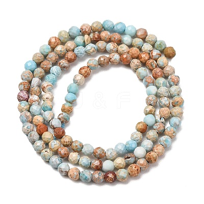 Natural Imperial Jasper Beads Strands G-L578-A14-1