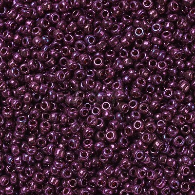 MIYUKI Round Rocailles Beads X-SEED-G007-RR0313-1