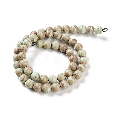 Natural Rainbow Alashan Agate Beads Strands G-NH0022-A08-02-1