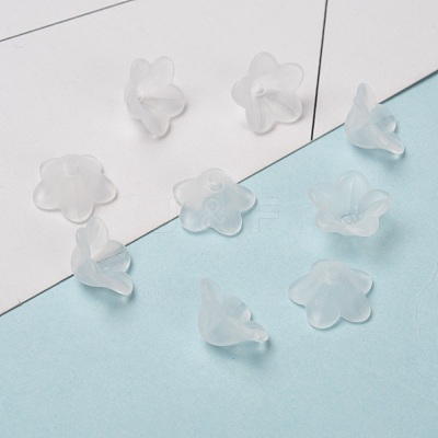 Transparent Acrylic Beads X-PL560-1-1