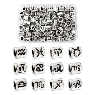 120Pcs 12 Style Alloy European Beads FIND-LS0001-12-1