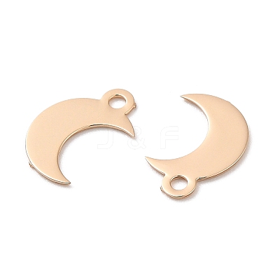 Long-Lasting Plated Brass Charms KK-K336-02KCG-1