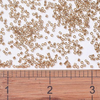 MIYUKI Delica Beads SEED-MY11-DB1221-1