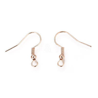 Iron Earring Hooks X-IFIN-EC135-RG-1