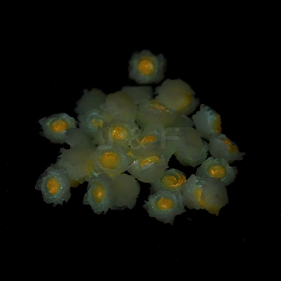 Luminous Resin Decoden Cabochons RESI-K036-06G-1