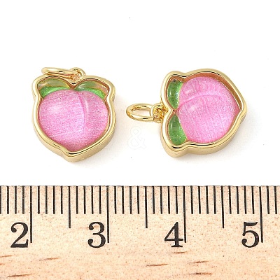 Brass Resin Charms KK-C110-24B-G-1
