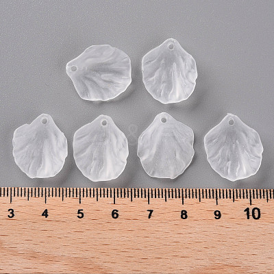 Transparent Frosted Acrylic Pendants MACR-S371-01A-701-1