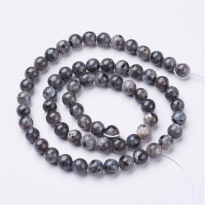 Natural Larvikite Beads Strands GSR6mmC128-1
