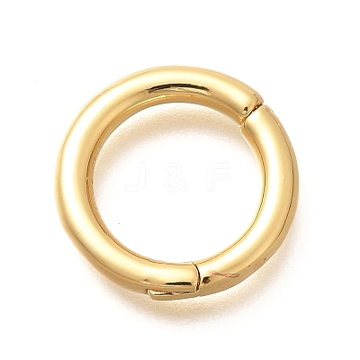 Rack Plating Ring Brass Spring Gate Clasps KK-M309-36G-1