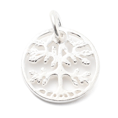 925 Sterling Silver Charms STER-S009-01C-S-1