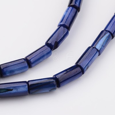 Natural Shell Bead Strands BSHE-P016-10-1