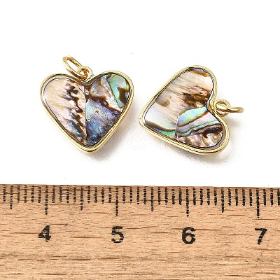 Natural Paua Shell & Epoxy Resin Charms KK-E794-02G-05-1