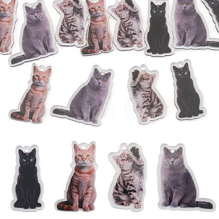 12Pcs 4 Styles Printed Acrylic Pendants OACR-TA0004-14A-1
