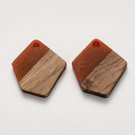 Resin & Walnut Wood Pendants X-RESI-S384-003A-A01-1