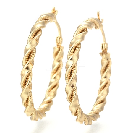 304 Stainless Steel Hoop Earring EJEW-F257-16G-1