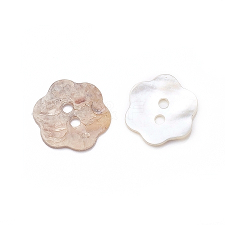 2-Hole Shell Buttons X-BUTT-D055-01-1