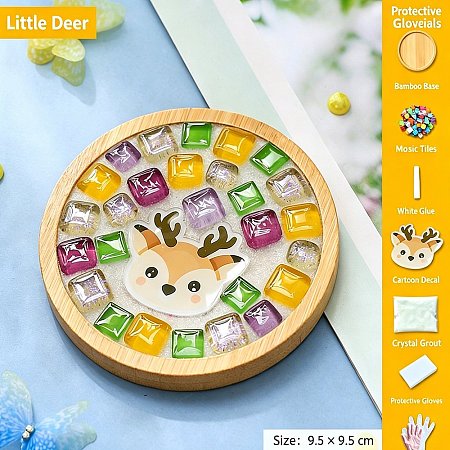 DIY Mosaic Coaster Making Kit TH-CBAB785-01H-1