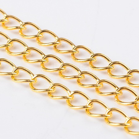 Iron Side Twisted Chain CH-DK0.9-G-FF-1