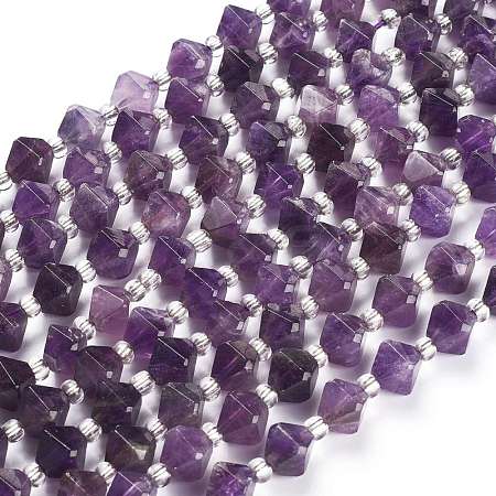 Natural Amethyst Beads Strands G-Z014-09-1