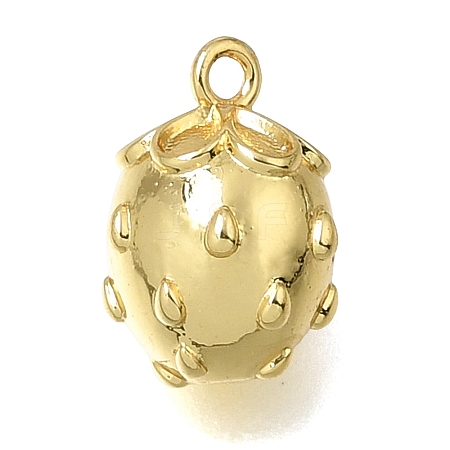 Brass Charms KK-K427-17G-1