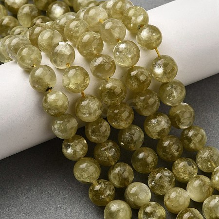 Natural Lepidolite Beads Strands G-F799-B02-10mm-1