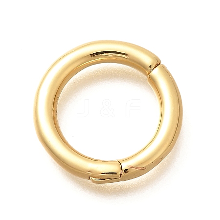 Rack Plating Ring Brass Spring Gate Clasps KK-M309-36G-1