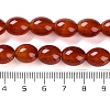 Natural Carnelian Beads Strands G-NH0019-C01-02-5