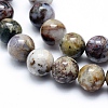 Natural Pietersite Beads Strands G-G823-05-10mm-3