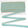 Sparkle Polyester Metallic Lace Trim OCOR-WH0074-93A-1