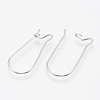 Tarnish Resistant 304 Stainless Steel Hoop Earrings X-STAS-T031-01-2