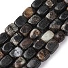 Natural Biotite Beads Strands G-D098-D15-2