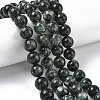 Natural Seraphinite Beads Strands G-C270-O01-11-1