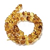 Natural Amber Beads Strands G-L095-L01-01-3