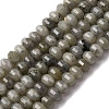 Natural Labradorite Beads Strands G-P587-D13-02-2