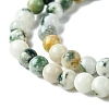Natural Tree Agate Beads Strands G-K194-6mm-02-4