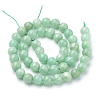 Natural Myanmar Jade/Burmese Jade Beads Strands G-T064-22-8mm-2