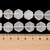 Natural Quartz Crystal Beads Strands G-A291-A04-01-6