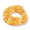 Natural Topaz Jade Beads Strands G-P497-01D-03B-3