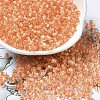 Transparent Glass Round Seed Beads X1-SEED-B001-05A-31-1