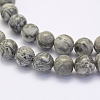 Natural Map Stone/Picasso Stone/Picasso Jasper Beads Strands G-G697-F03-8mm-3